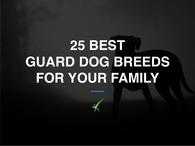 best guard breeds for families with children 25 best guard breeds for your family best guard breeds for families with children 25 best guard breeds for your family