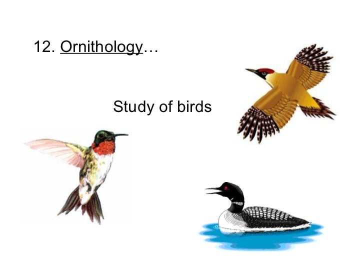 topic 1 what is biology topic 1 what is biology