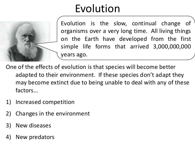 thesis about evolution vs creationism Creationism vs evolution essays: over 180,000 creationism vs evolution essays, creationism vs evolution term papers, creationism vs evolution research paper, book. thesis about evolution vs creationism Creationism vs evolution essays: over 180,000 creationism vs evolution essays, creationism vs evolution term papers, creationism vs evolution research paper, book.