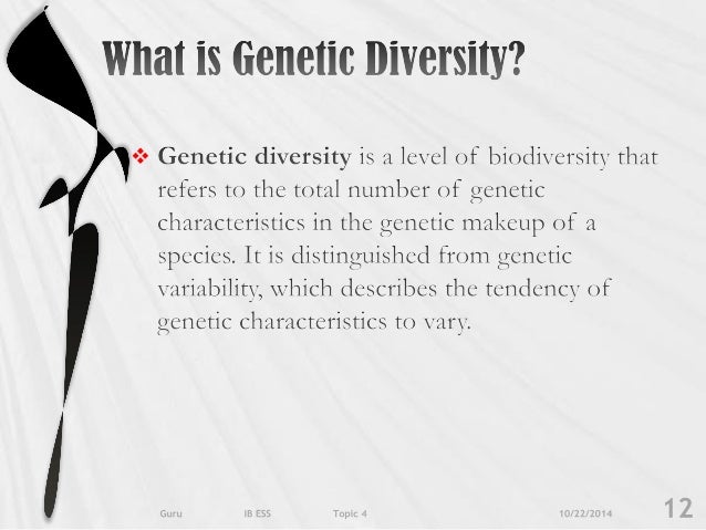 Essays On Biodiversity
