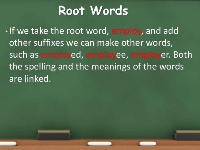 Root word, Prefix and Suffix.