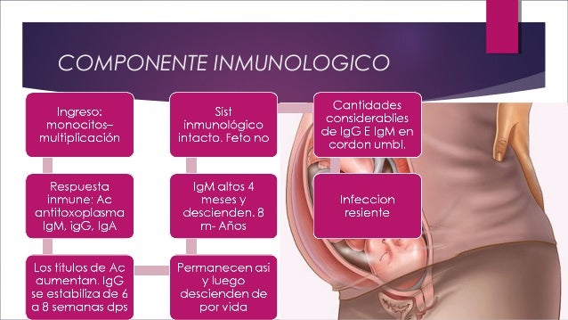 Toxoplasmosis en el embarazo.pdf Toxoplasmosis en el embarazo.pdf