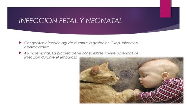 Toxoplasmosis en el embarazo.pdf Toxoplasmosis en el embarazo.pdf