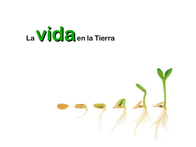 LA CREACION DE LA VIDA EN LA TIERRA la creacion de la vida en la tierra: