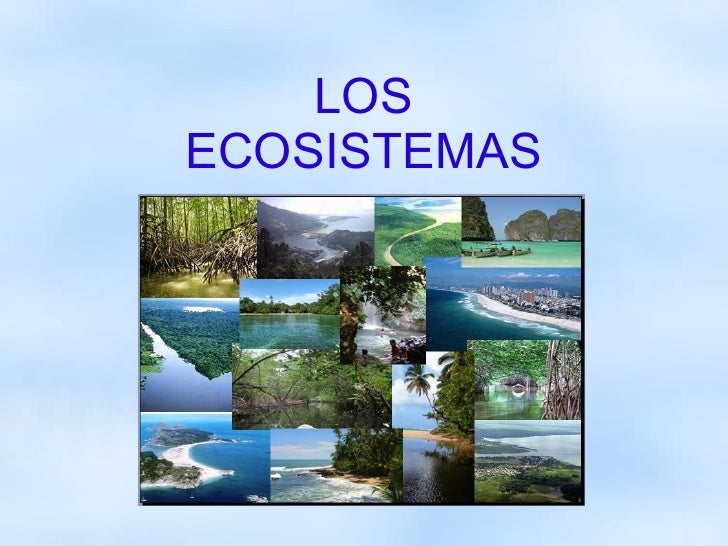 Trabajo de biología sobre Ecosistemas Trabajo de biología sobre Ecosistemas