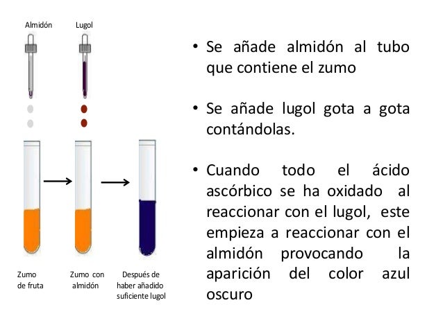 Trabajo de investigación sobre vitamina c