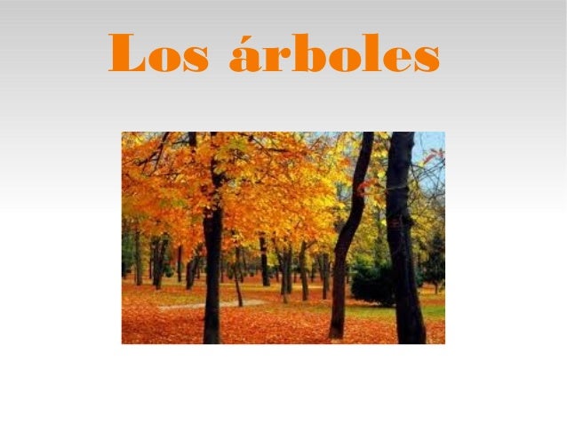 INFORMACION SOBRE ERROR TRABAJO informacion sobre error trabajo: