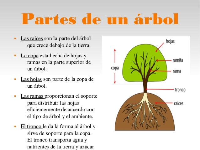 Tecnología de los Materiales UAP - IV ciclo: 11/22/15