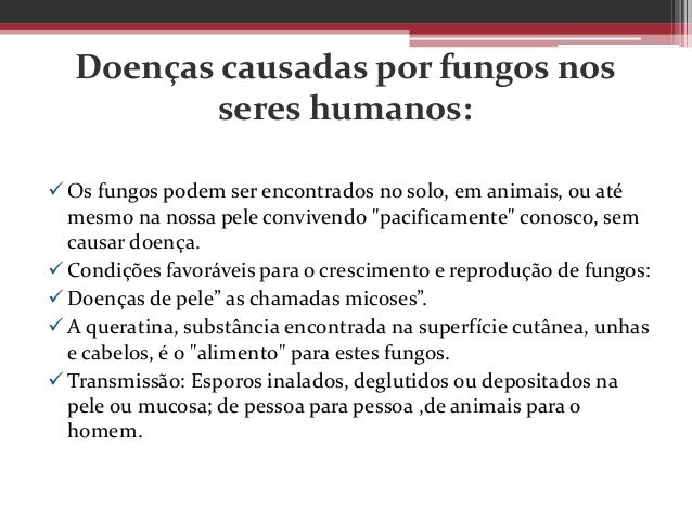 Que meio é melhor em um fungo de prego