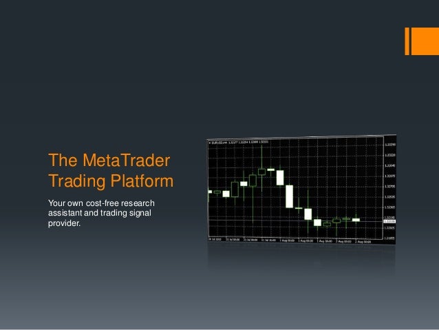 Expert advisor for binary options