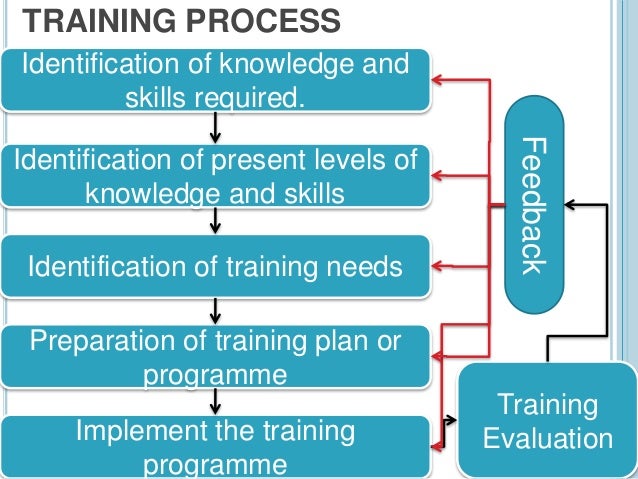 the training programs and job performance Learning, training & development the report's forward states that employee training and development programs also have a performance employee training and. the training programs and job performance Learning, training & development the report's forward states that employee training and development programs also have a performance employee training and.