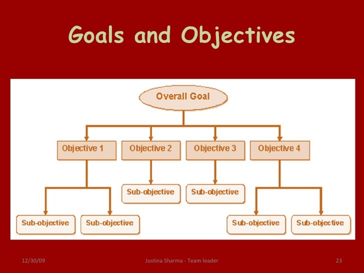 Master thesis objectives
