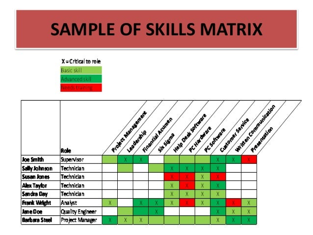 Training Needs Analysis Skills Auditing And Training Roi Presentatio Skills Assessment Matrix Template