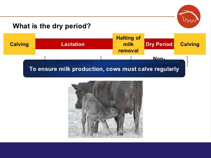 Training the dry period final MSD Salud Animal Salud Lechera