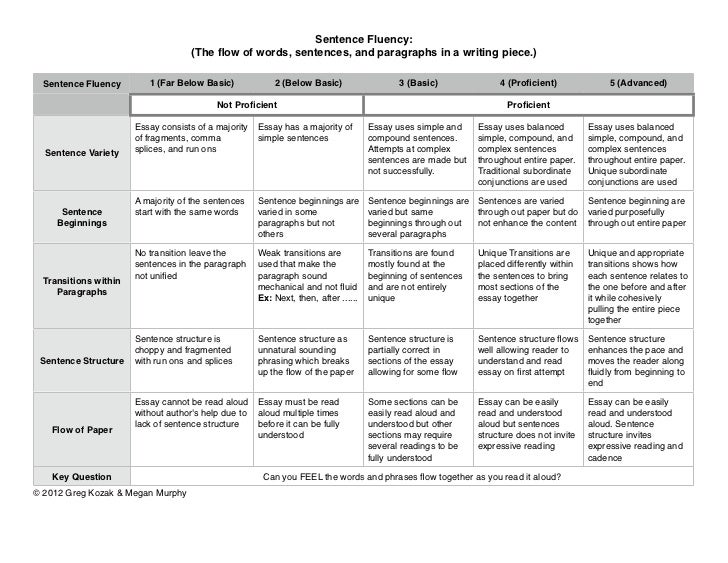 Persuasive essay rubric