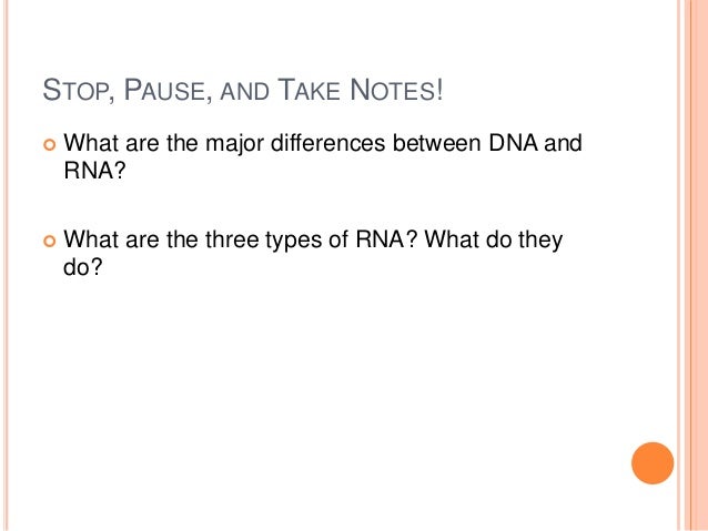 transcription and translation presentation 3 types of rna