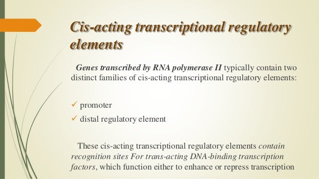 Transcription regulatory elements