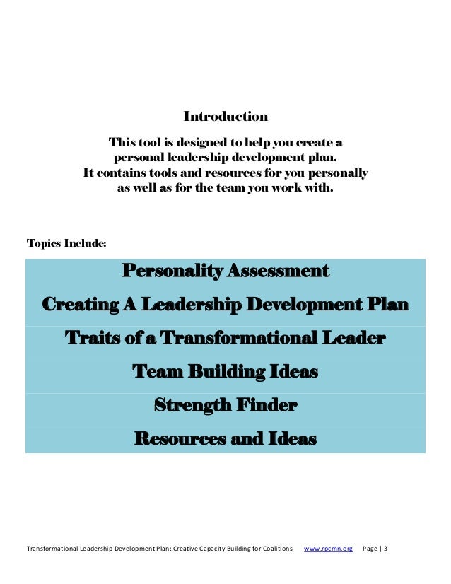 Individual leadership development plan essay