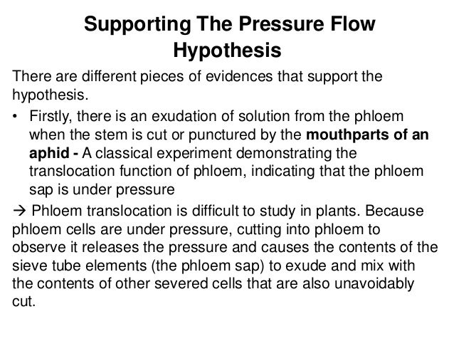 difference between atp turnover and atp resynthesis difference between atp turnover and atp resynthesis