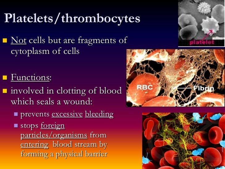 Platelets In Blood