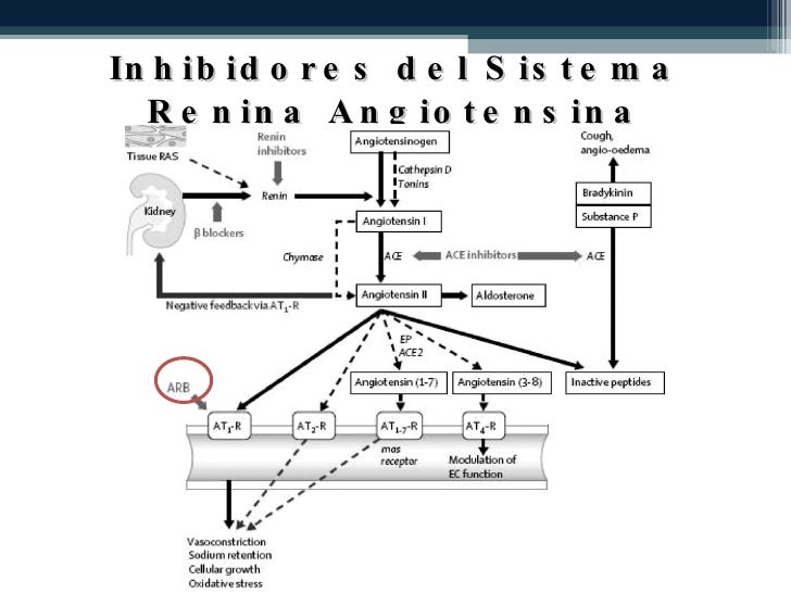 TRATAMIENTO HIPERTENSION ARTERIAL TRATAMIENTO HIPERTENSION ARTERIAL