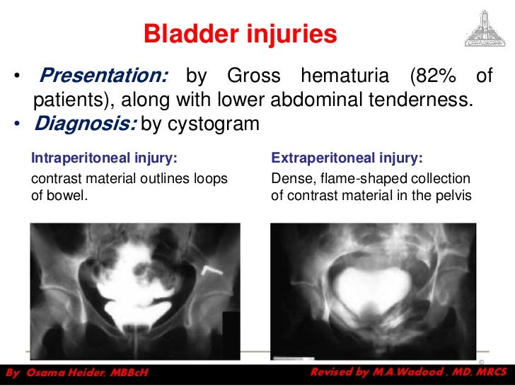 Pin On Medical Student Pin On Medical Student