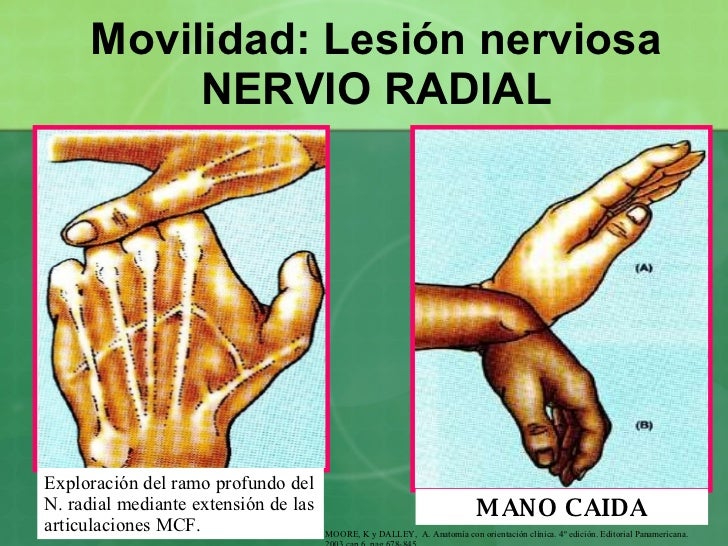 LESIONES POR TRAUMA lesiones por trauma: