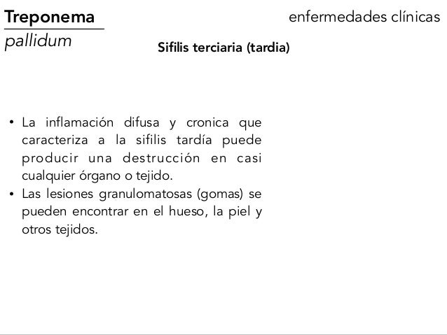 En el ciclo del parásito palúdico la persona es