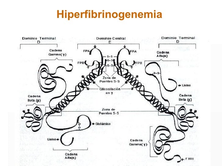 Resultado de imagen para hiperfibrinogenemia