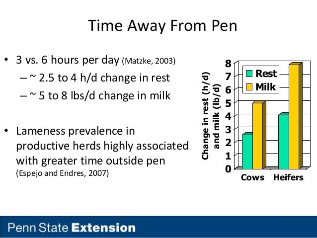 Dairy Cow Housing Design Ppt Dairy Cow Housing Design Ppt