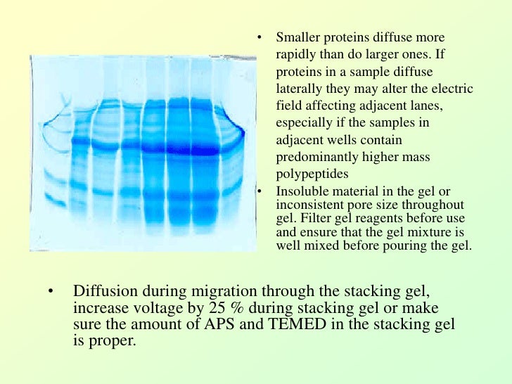 Trouble Shooting of SDS PAGE Analysis