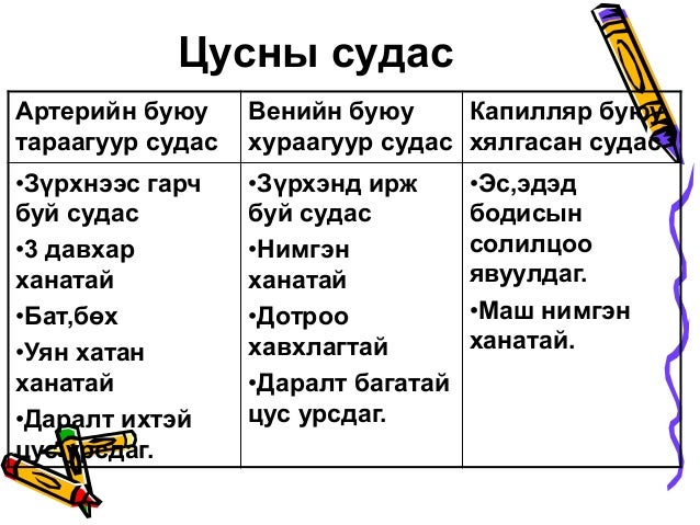 Цусны эргэлтийн тогтолцоо