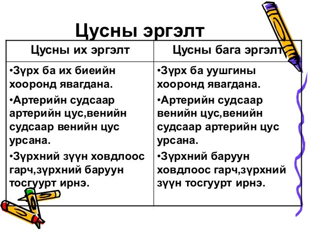 Цусны эргэлтийн тогтолцоо