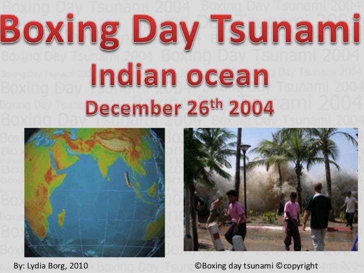school essays on tsunami school essays on tsunami