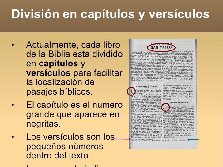 Tu Biblia