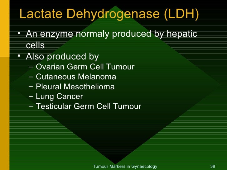 immigration law companies ranking
