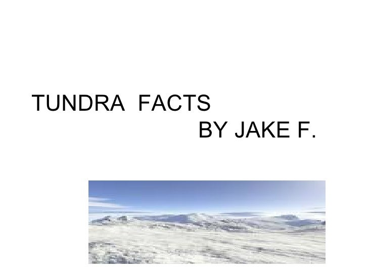 tundra facts freudiger tundra facts