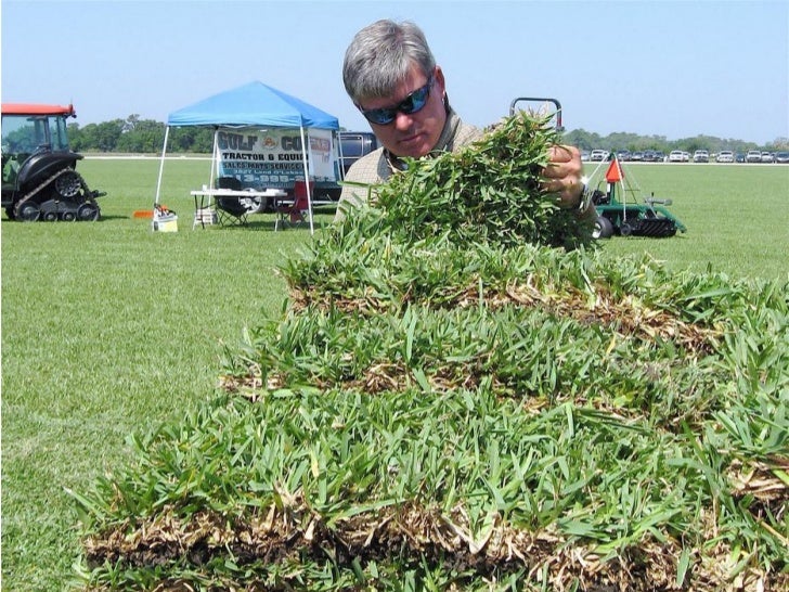 Turfgrass management jobs texas