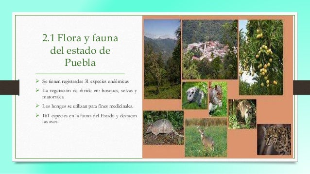 Turismo sustentable en puebla