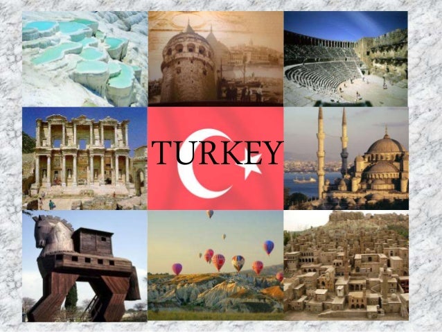 turkey presentation