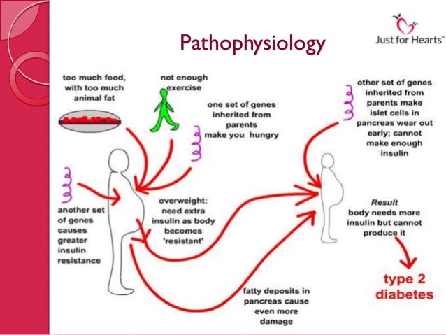 Management of type 2 diabetes mellitus   med.umich.edu