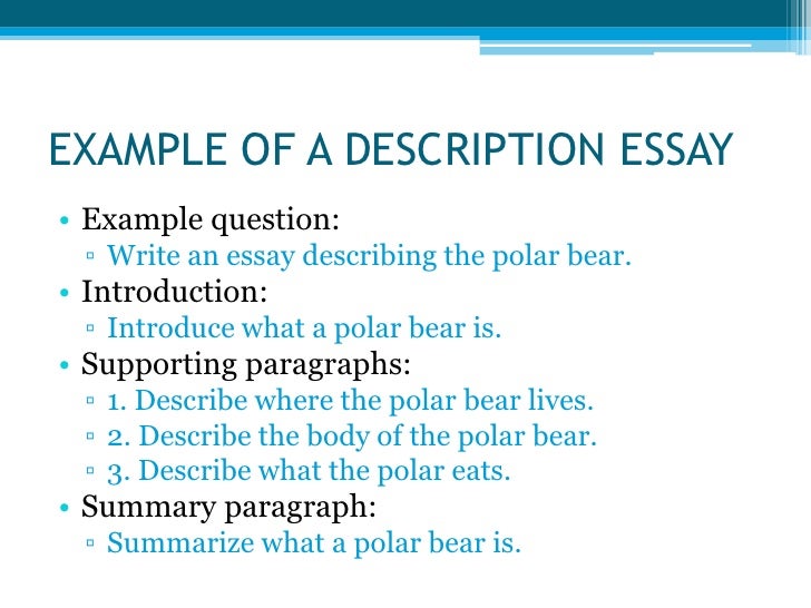 Types of essay exercises