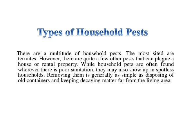 Pest Control For Rats