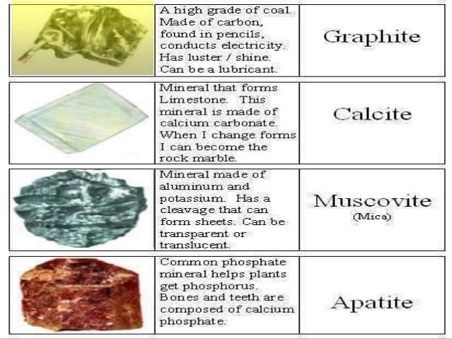 primary lesson helps | just b.CAUSE primary lesson helps | just b.CAUSE