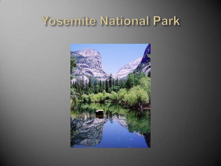 U.S. History The Conservation Movement In The United States