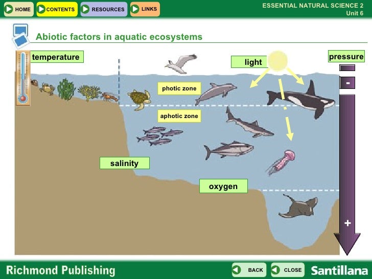 u06 ecosystems zone of the marine ecosystems that light touches