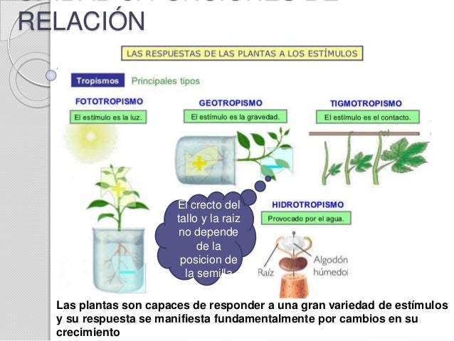Ud3 funciones de relación