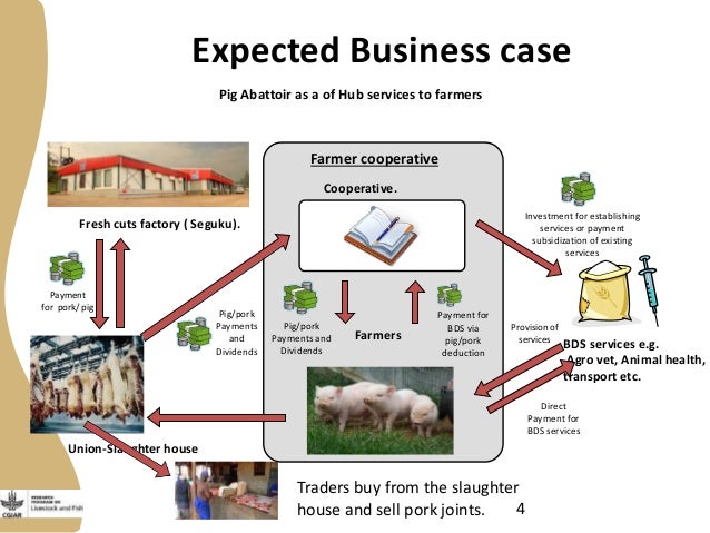 how to write a business plan for pig farming