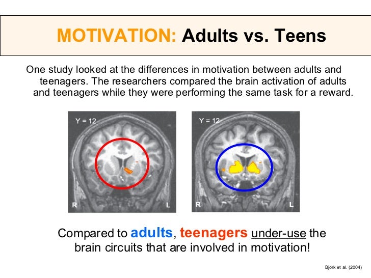 teenage brain vs adult brain teenage brain vs adult brain