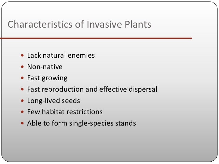 Understanding invasive plants
